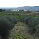 Frühstückspension Domaine Les Cascades Ribaute