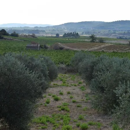 Bed & Breakfast Domaine Les Cascades Ribaute