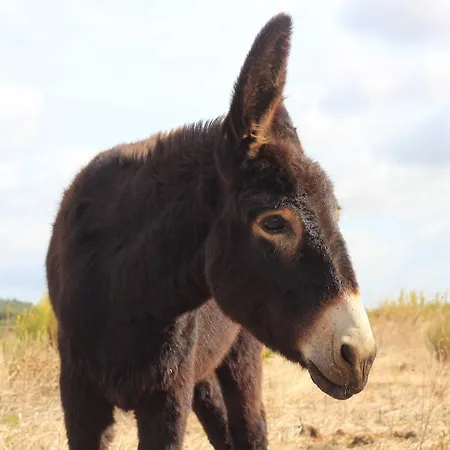 Bed & Breakfast Domaine Les Cascades