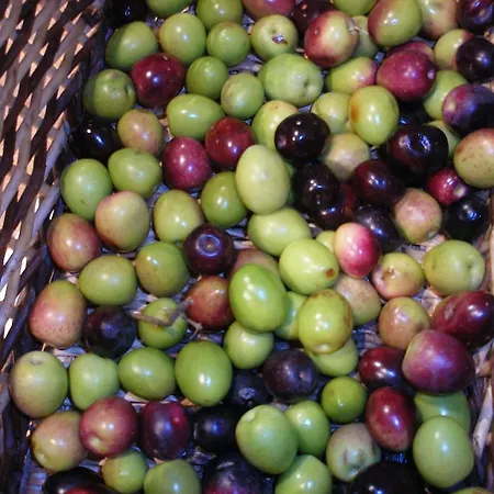 Domaine Les Cascades Ribaute